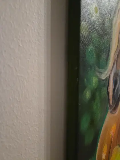 Palomino i Sommarljus thumbnail 4